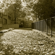 Untitled 5